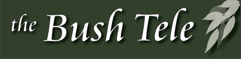 The Bush Telegraph banner